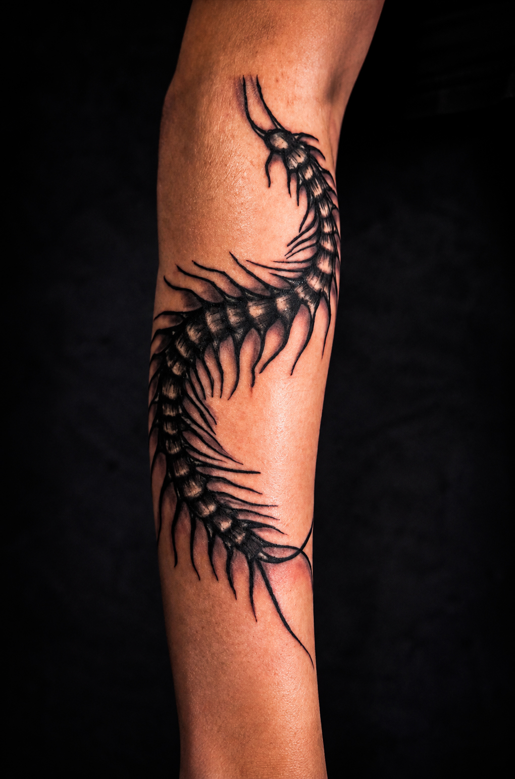 Unterarm-Tattoo eines detaillierten Tausendfüßlers in Blackwork-Optik